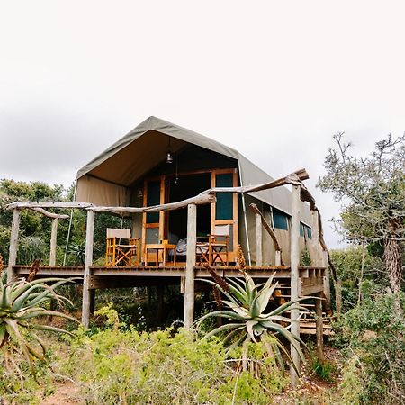 Woodbury Tented Camp - Amakhala Vadrezervátum Kültér fotó