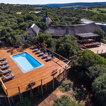 Woodbury Tented Camp - Amakhala Vadrezervátum Kültér fotó