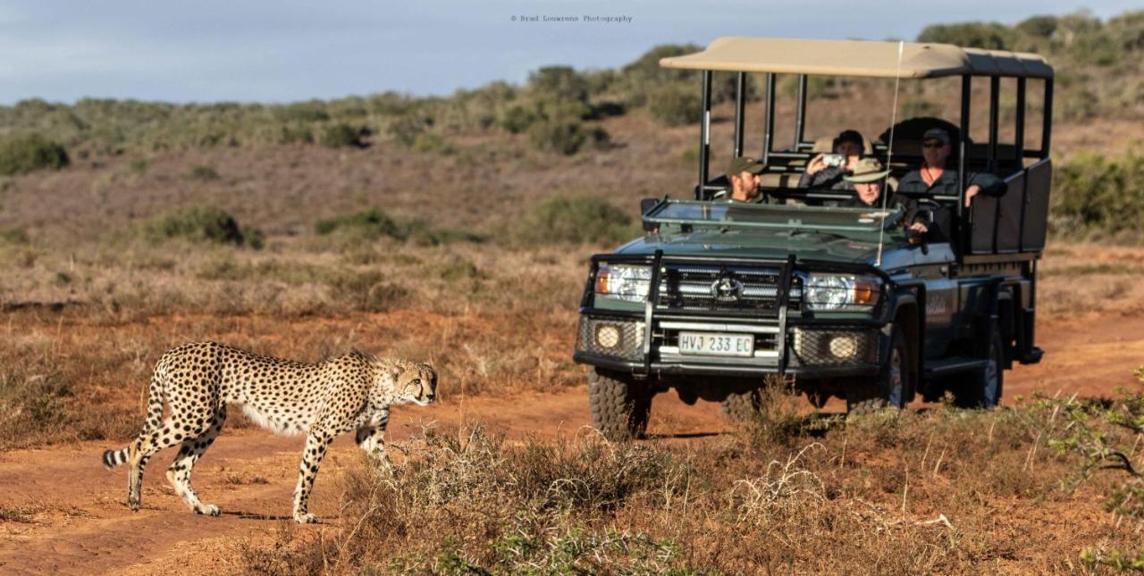 Woodbury Tented Camp - Amakhala Vadrezervátum Kültér fotó