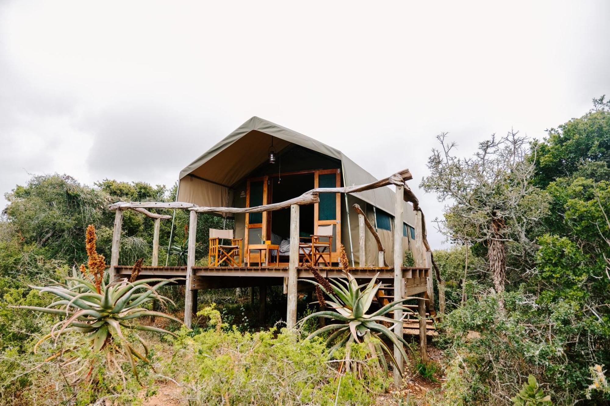 Woodbury Tented Camp - Amakhala Vadrezervátum Kültér fotó