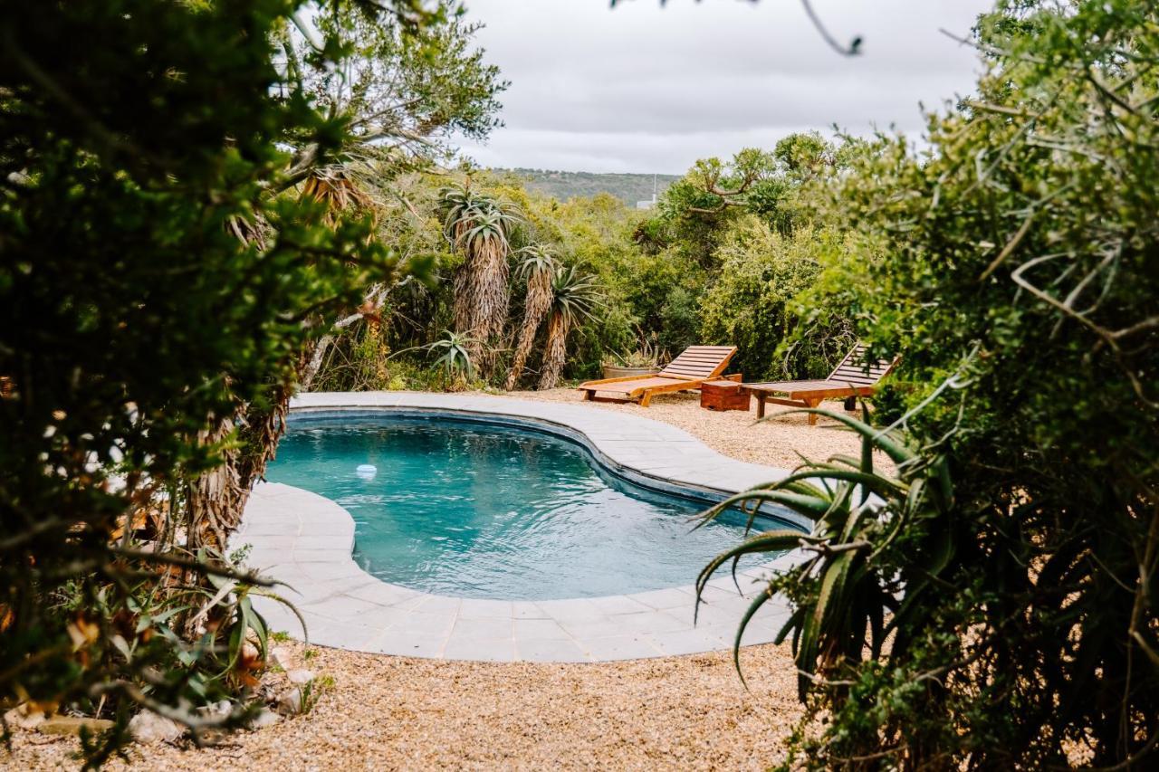 Woodbury Tented Camp - Amakhala Vadrezervátum Kültér fotó