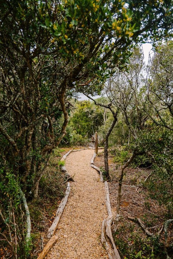 Woodbury Tented Camp - Amakhala Vadrezervátum Kültér fotó