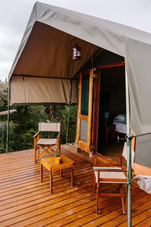 Woodbury Tented Camp - Amakhala Vadrezervátum Kültér fotó