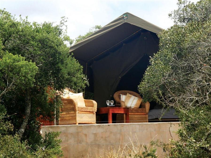 Woodbury Tented Camp - Amakhala Vadrezervátum Kültér fotó