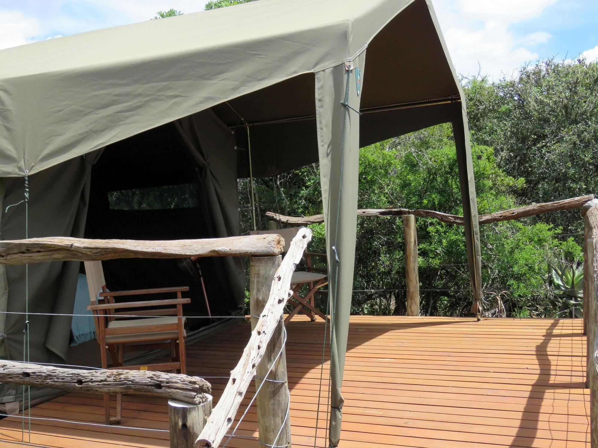 Woodbury Tented Camp - Amakhala Vadrezervátum Kültér fotó