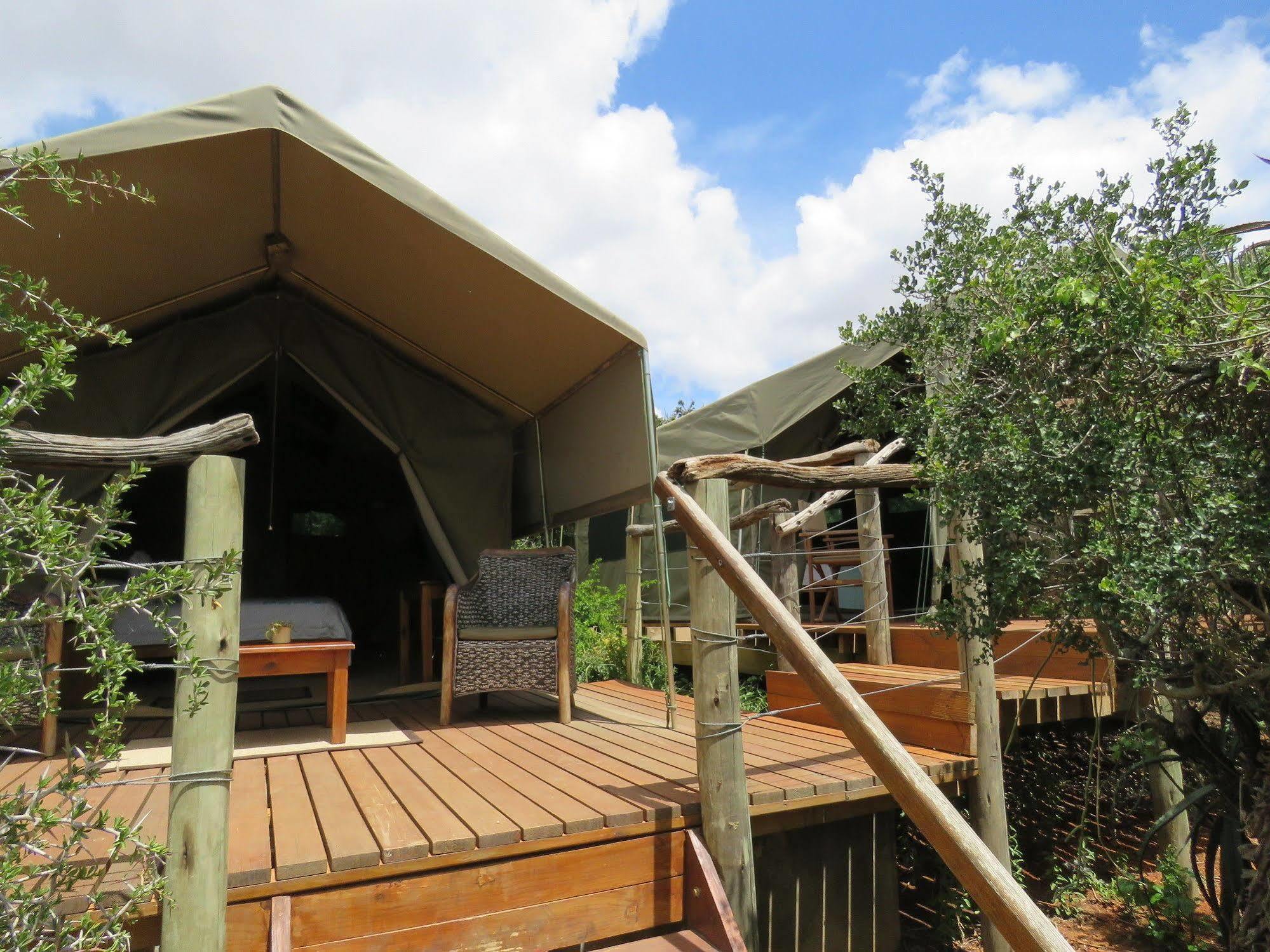 Woodbury Tented Camp - Amakhala Vadrezervátum Kültér fotó