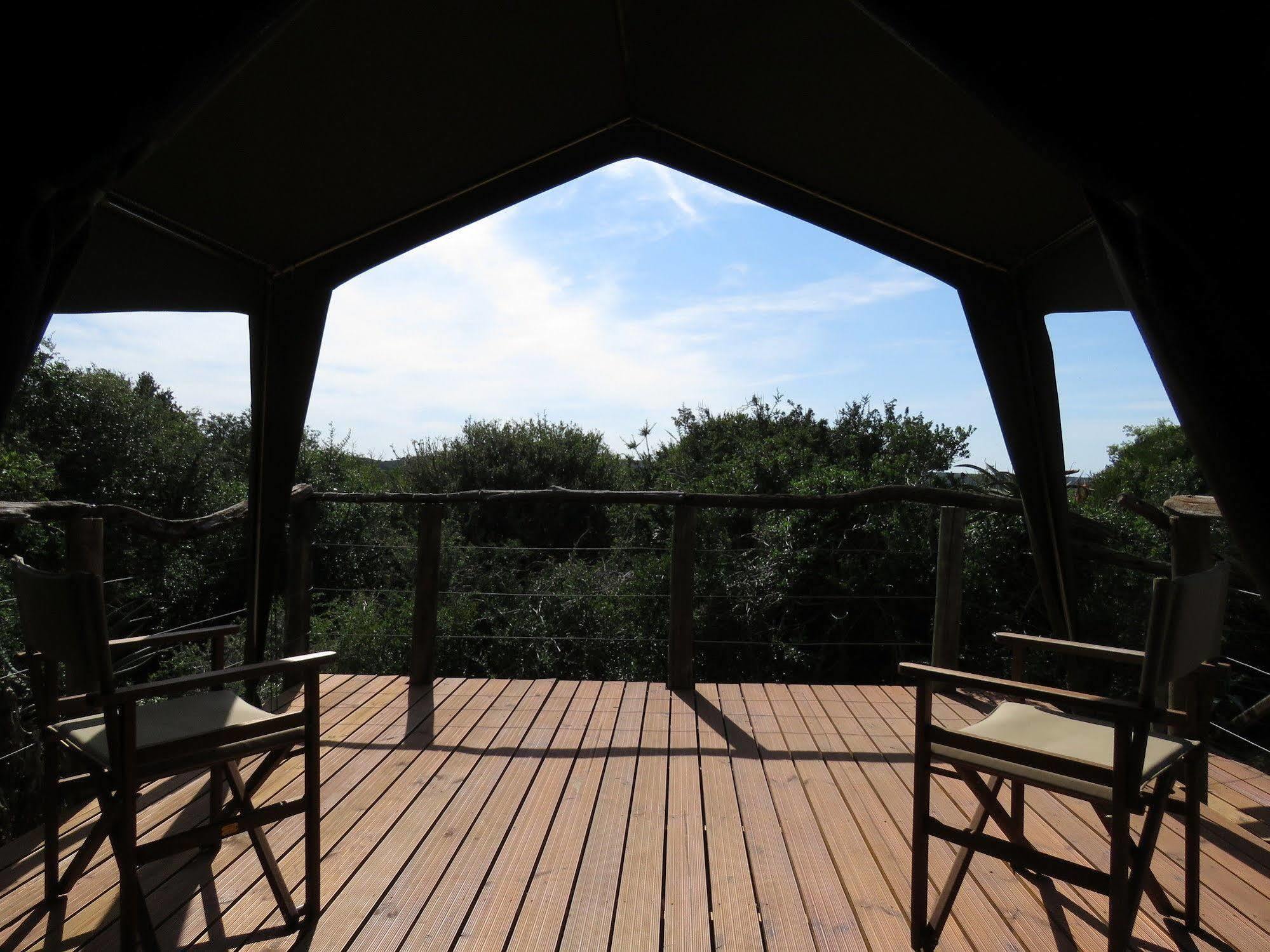 Woodbury Tented Camp - Amakhala Vadrezervátum Kültér fotó
