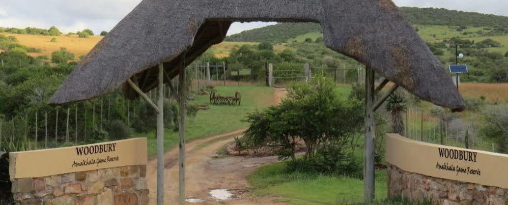 Woodbury Tented Camp - Amakhala Vadrezervátum Kültér fotó