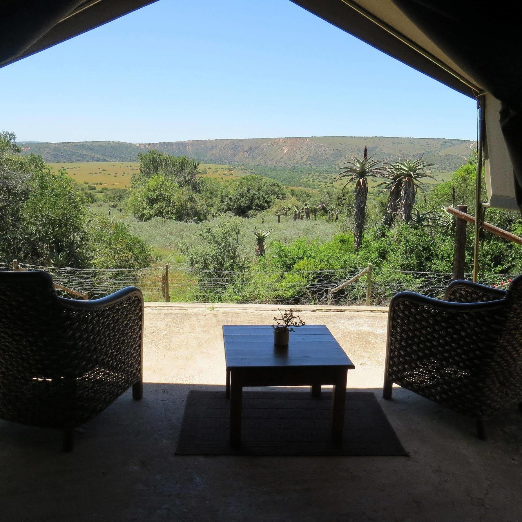 Woodbury Tented Camp - Amakhala Vadrezervátum Kültér fotó