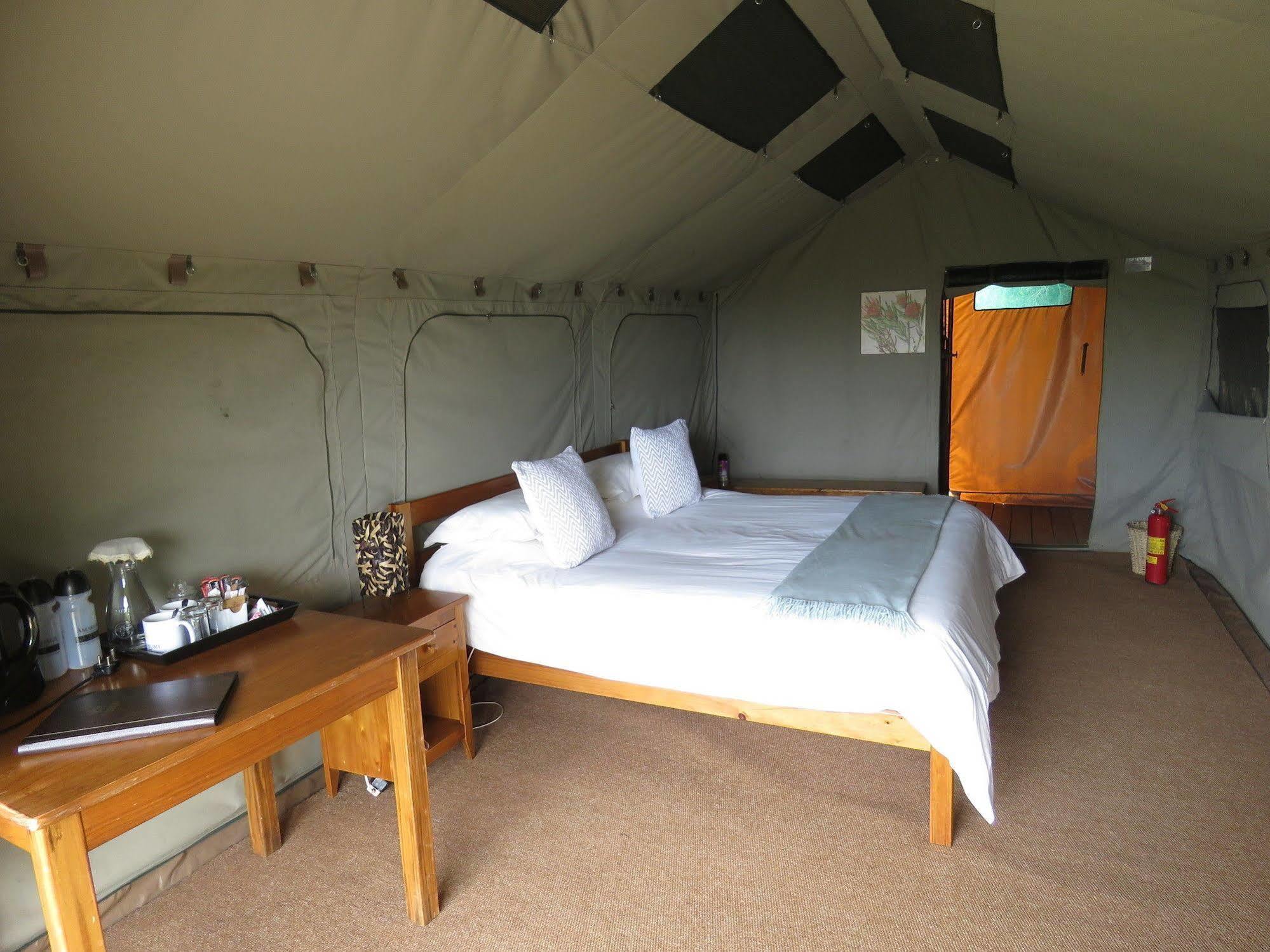 Woodbury Tented Camp - Amakhala Vadrezervátum Kültér fotó
