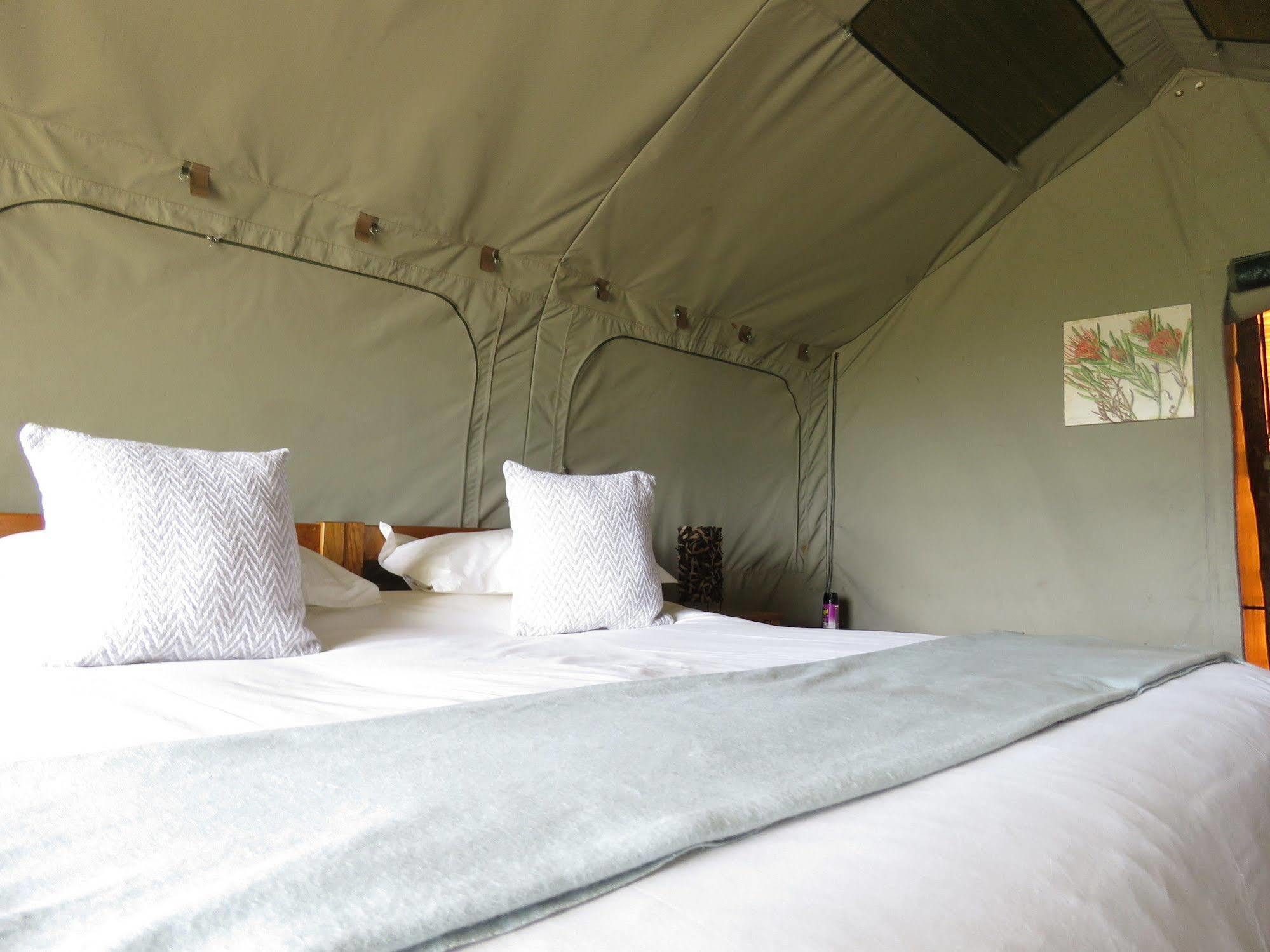 Woodbury Tented Camp - Amakhala Vadrezervátum Kültér fotó