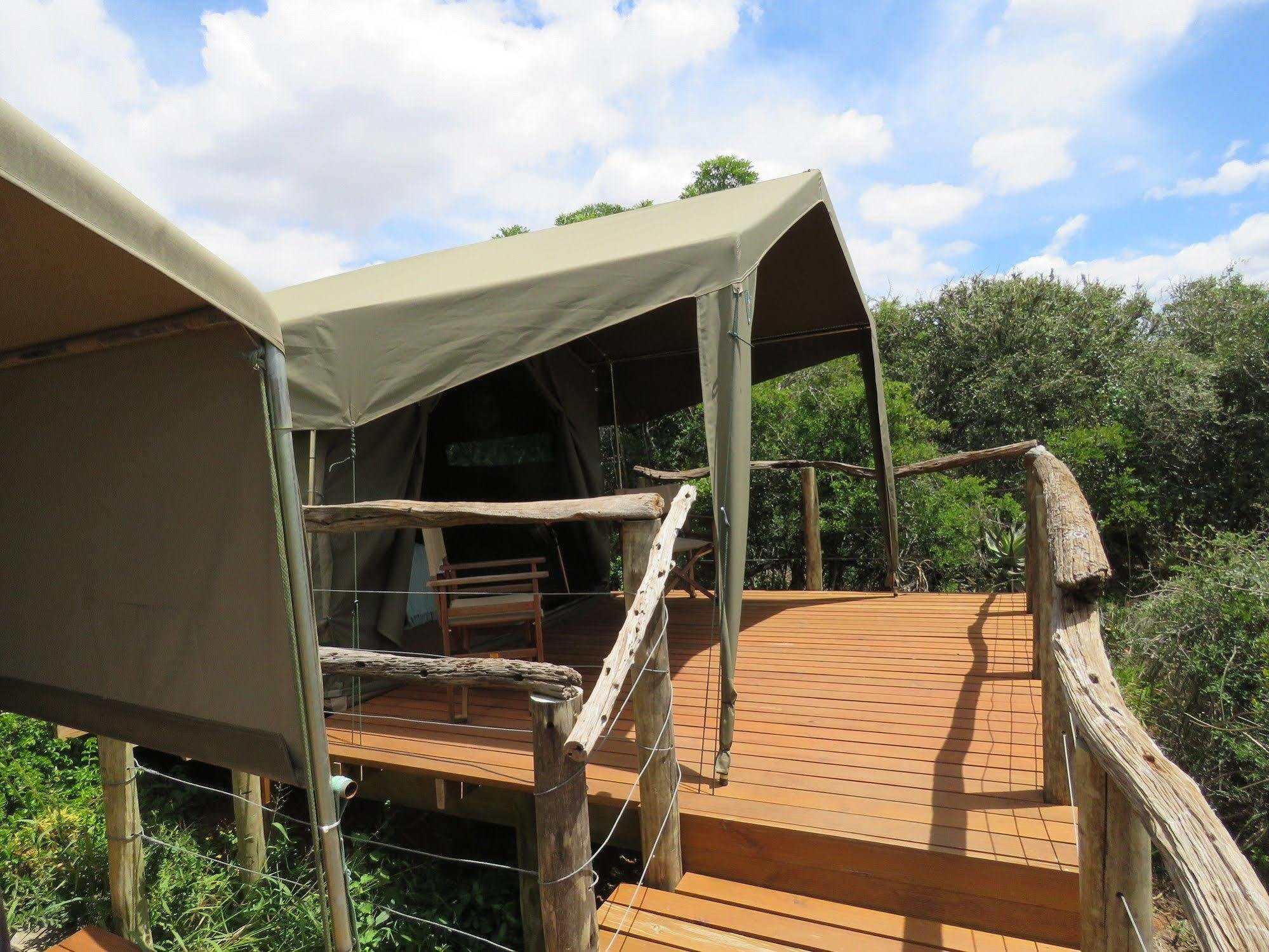 Woodbury Tented Camp - Amakhala Vadrezervátum Kültér fotó