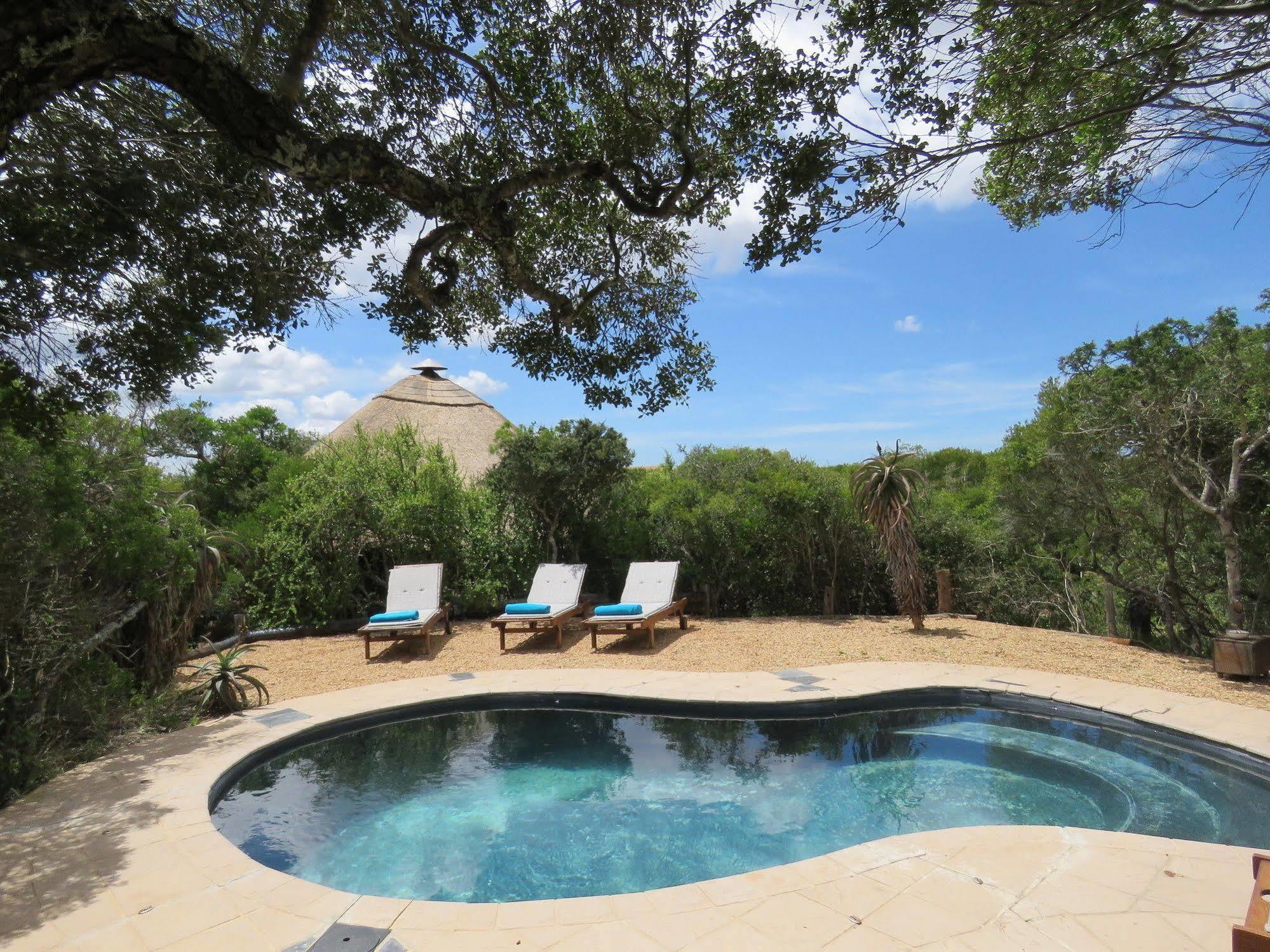 Woodbury Tented Camp - Amakhala Vadrezervátum Kültér fotó