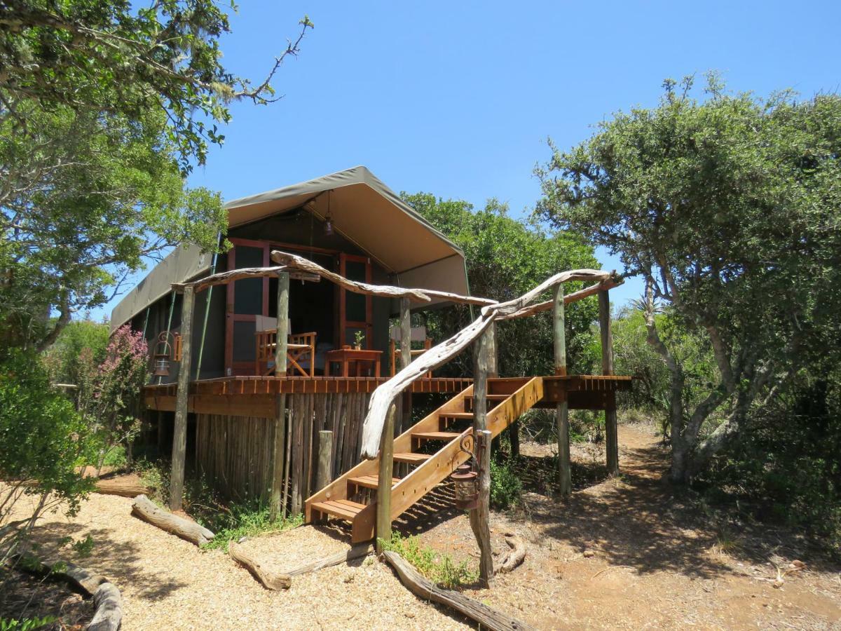 Woodbury Tented Camp - Amakhala Vadrezervátum Kültér fotó