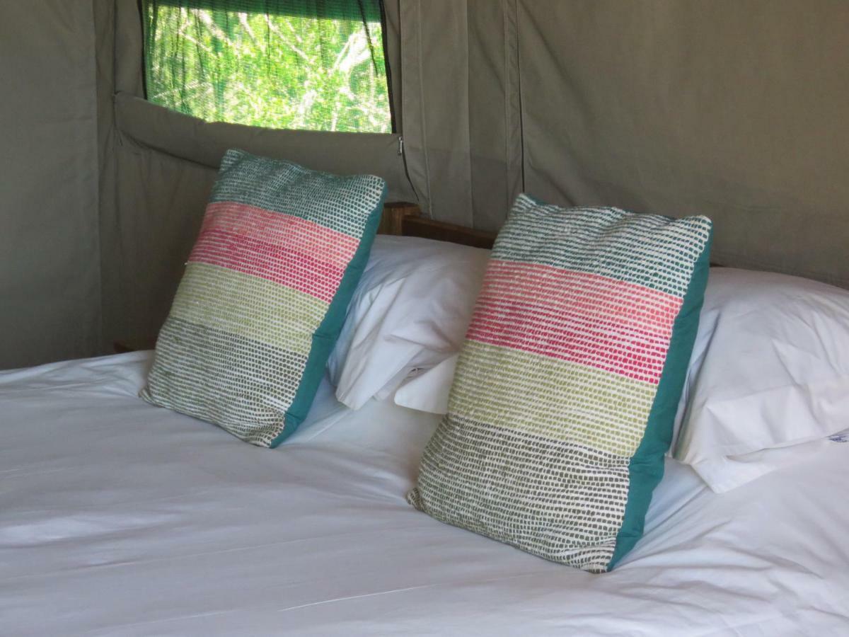 Woodbury Tented Camp - Amakhala Vadrezervátum Kültér fotó