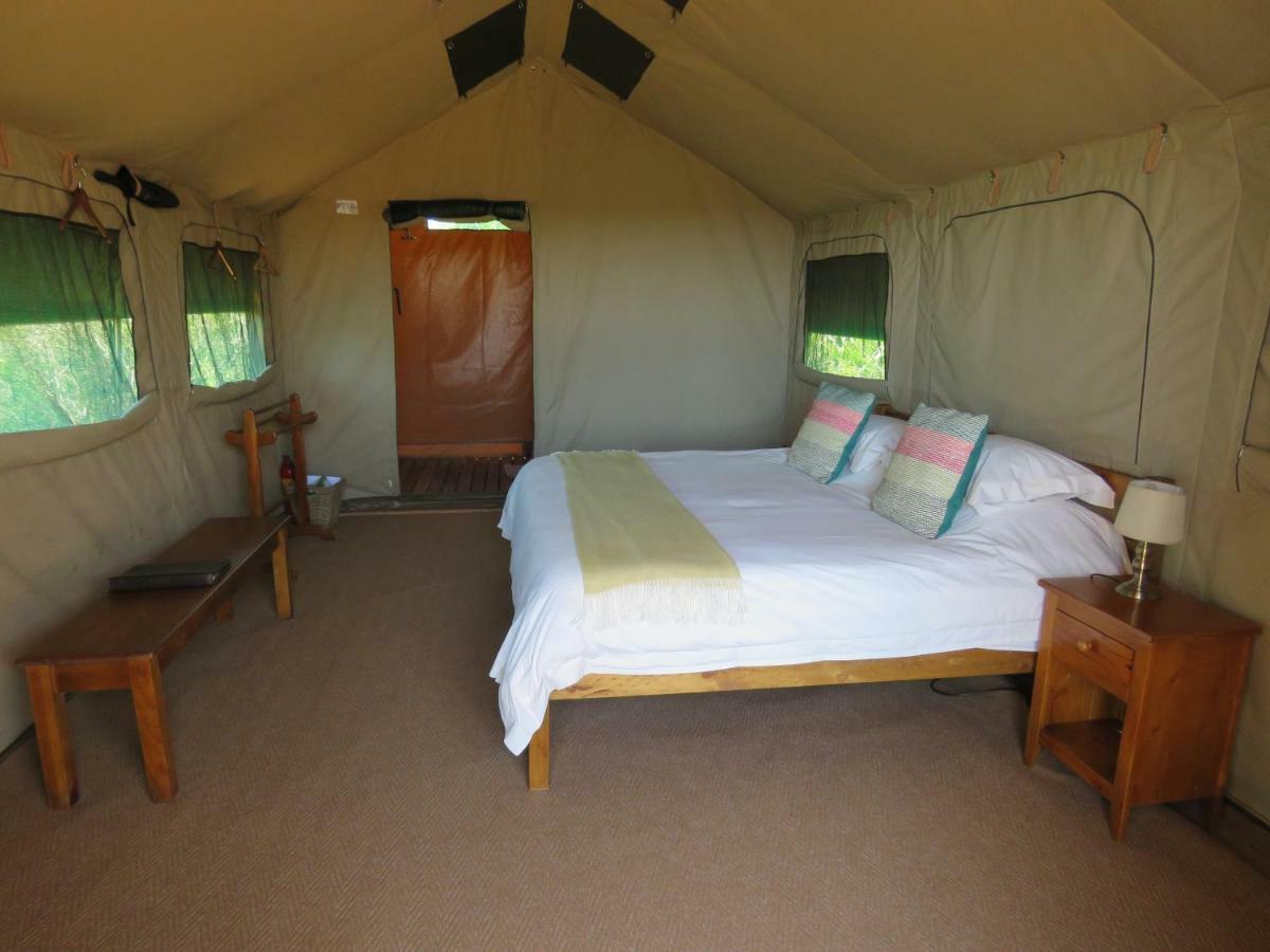 Woodbury Tented Camp - Amakhala Vadrezervátum Kültér fotó