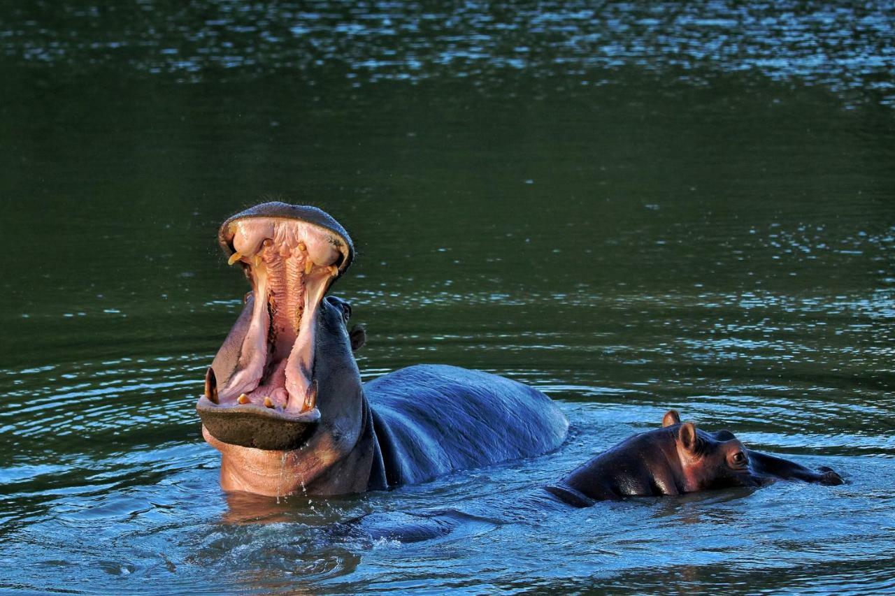 Woodbury Tented Camp - Amakhala Vadrezervátum Kültér fotó